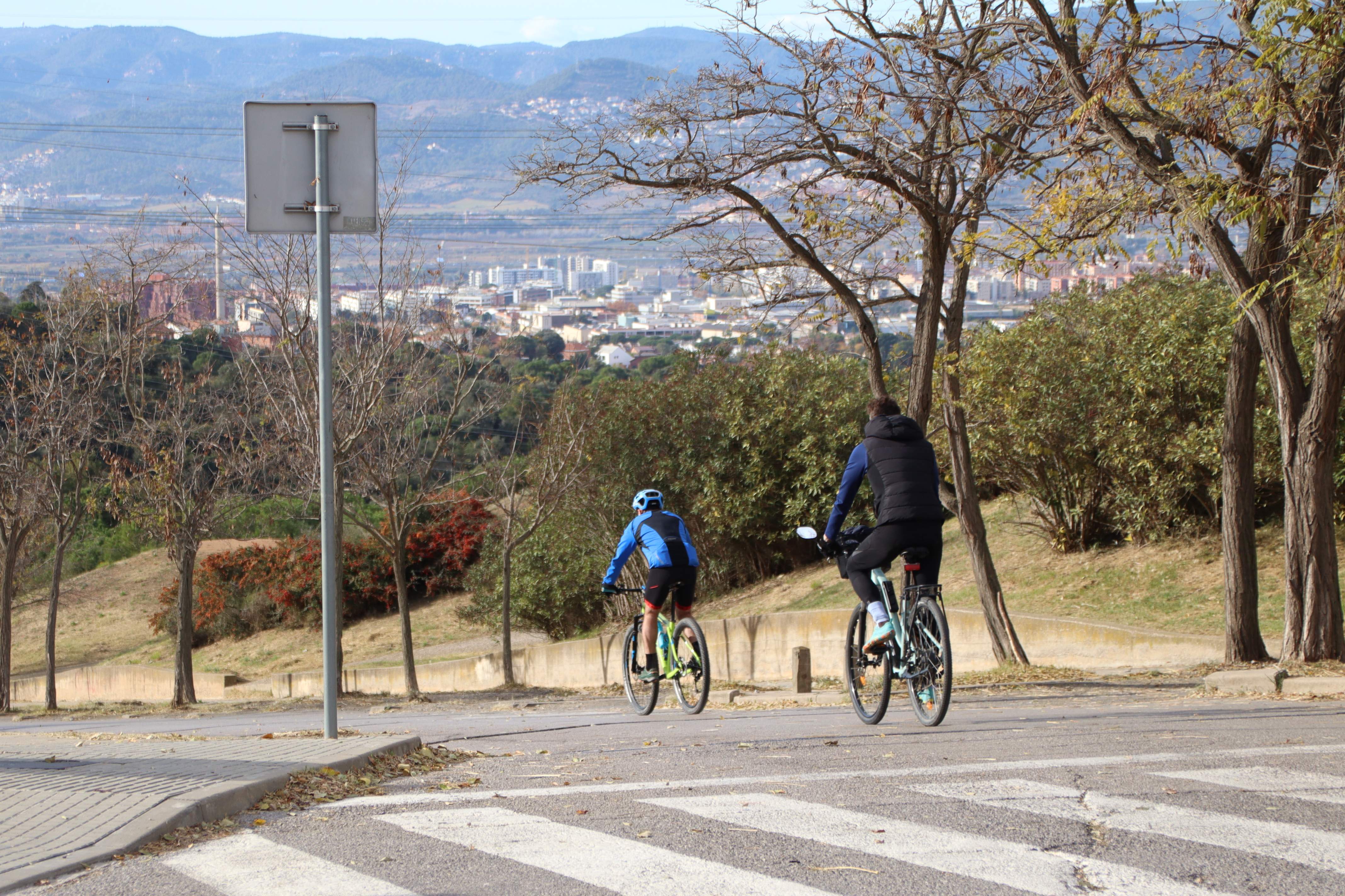 Es relaxen les restriccions per la pesta porcina: a quins municipis no es pot accedir encara?