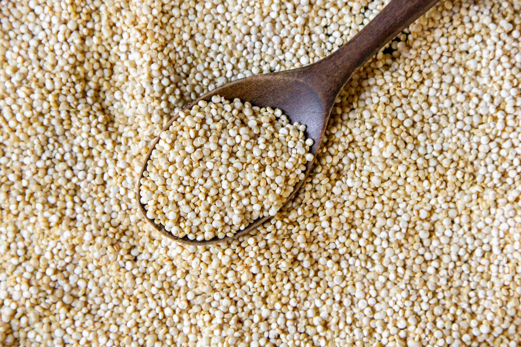 Quinoa en cullera de fusta Foto Cedida