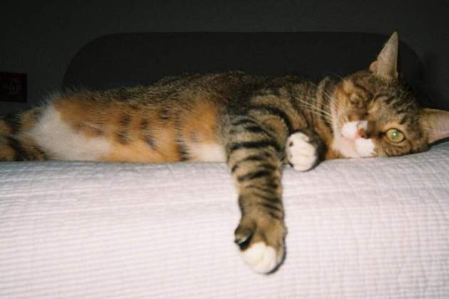 543648035 18523806229015231 5476547491929418727 n 543648035 18523806229015231 5476547491929418727 n