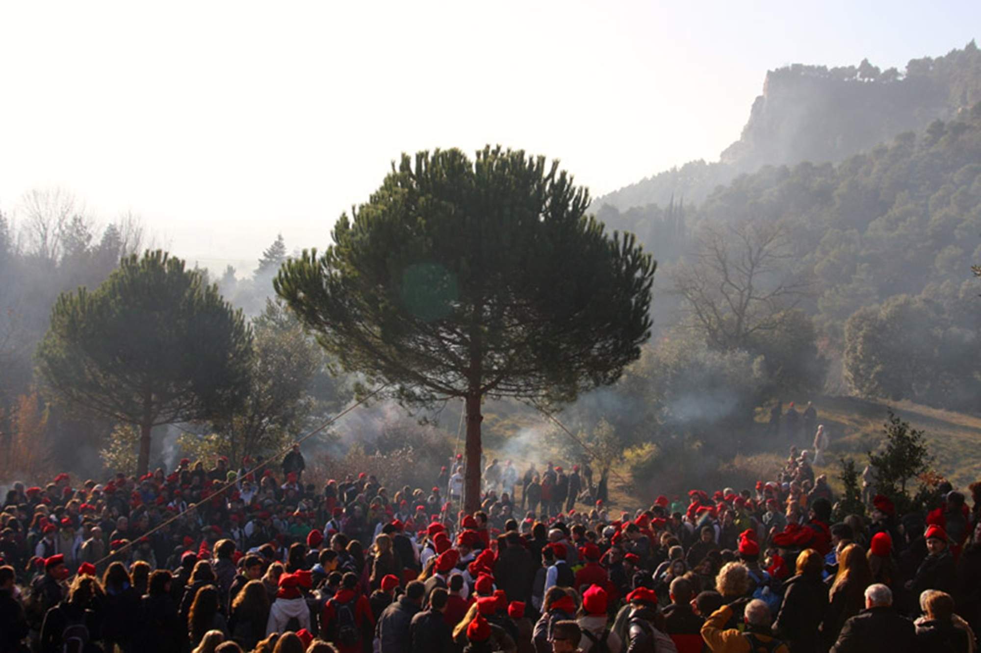 Festa del Pi de Centelles