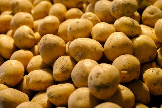 Cómo conservar patatas / Foto: Unsplash