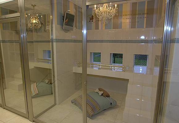 centro veterinario centro veterinario