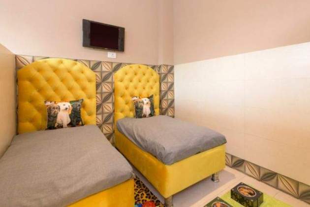 habitacion perro habitacion perro