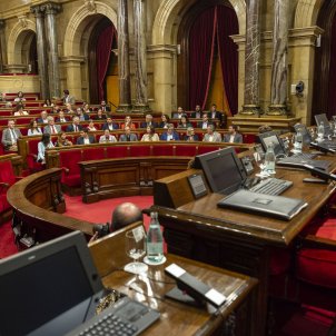 Ple cancelat Hemicicle mig buit espanyolistes - Sergi Alcazar Ple cancelat Hemicicle mig buit espanyolistes - Sergi Alcazar