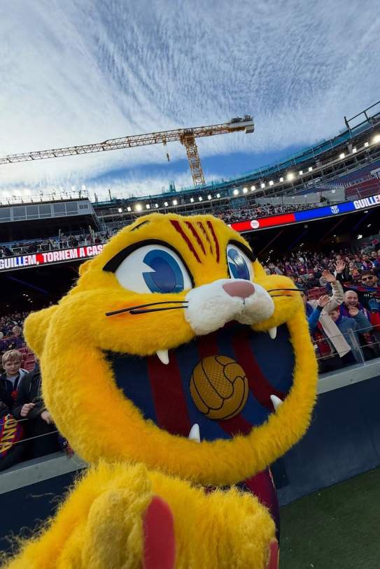 El peluix Cat / Instagram