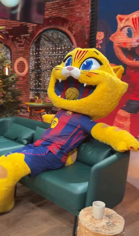 Cat en el sofá de La Selva   Instagram