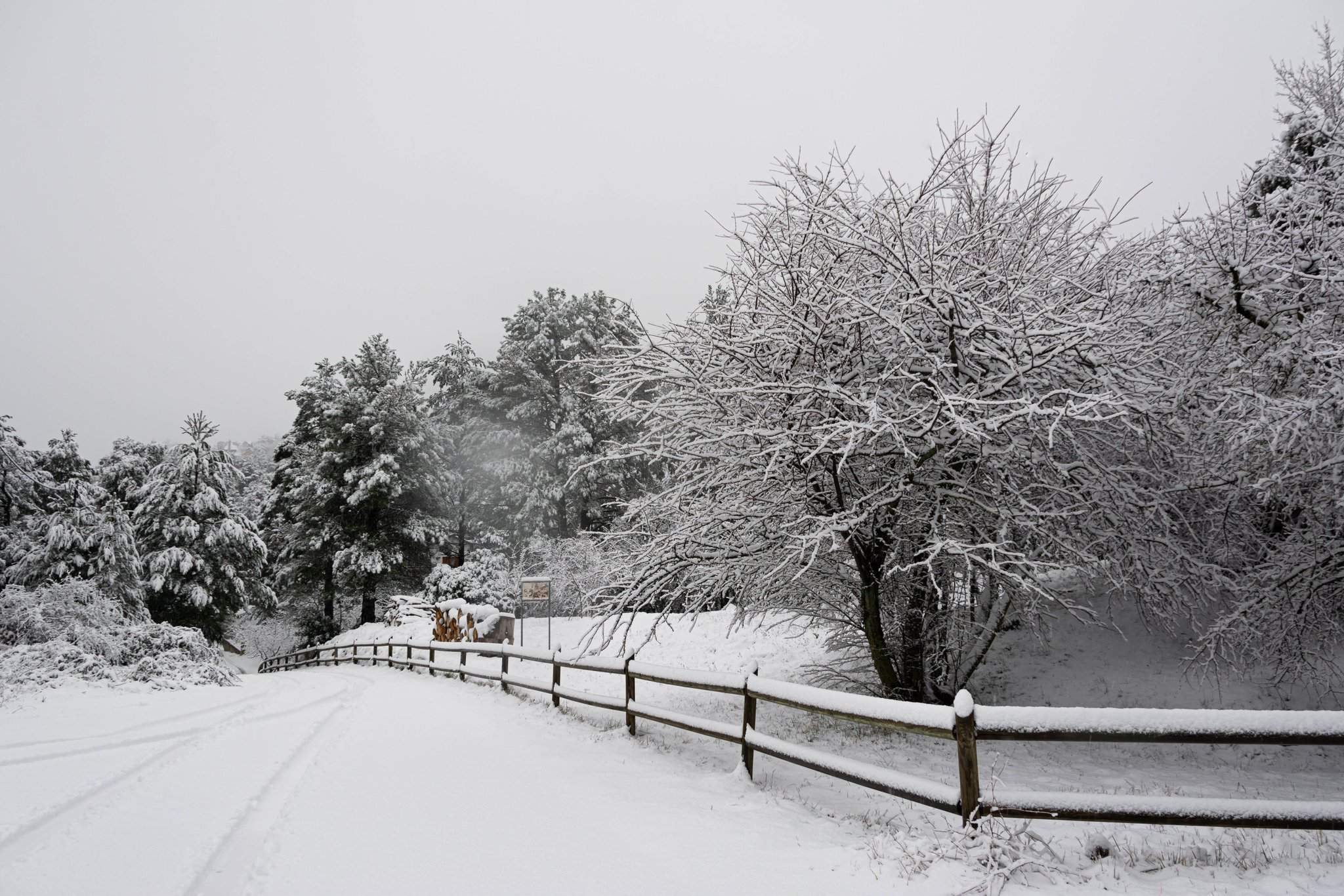 Zarpazo invernal con temperaturas gélidas en Catalunya: vuelven las nevadas a cotas bajas antes de Navidad