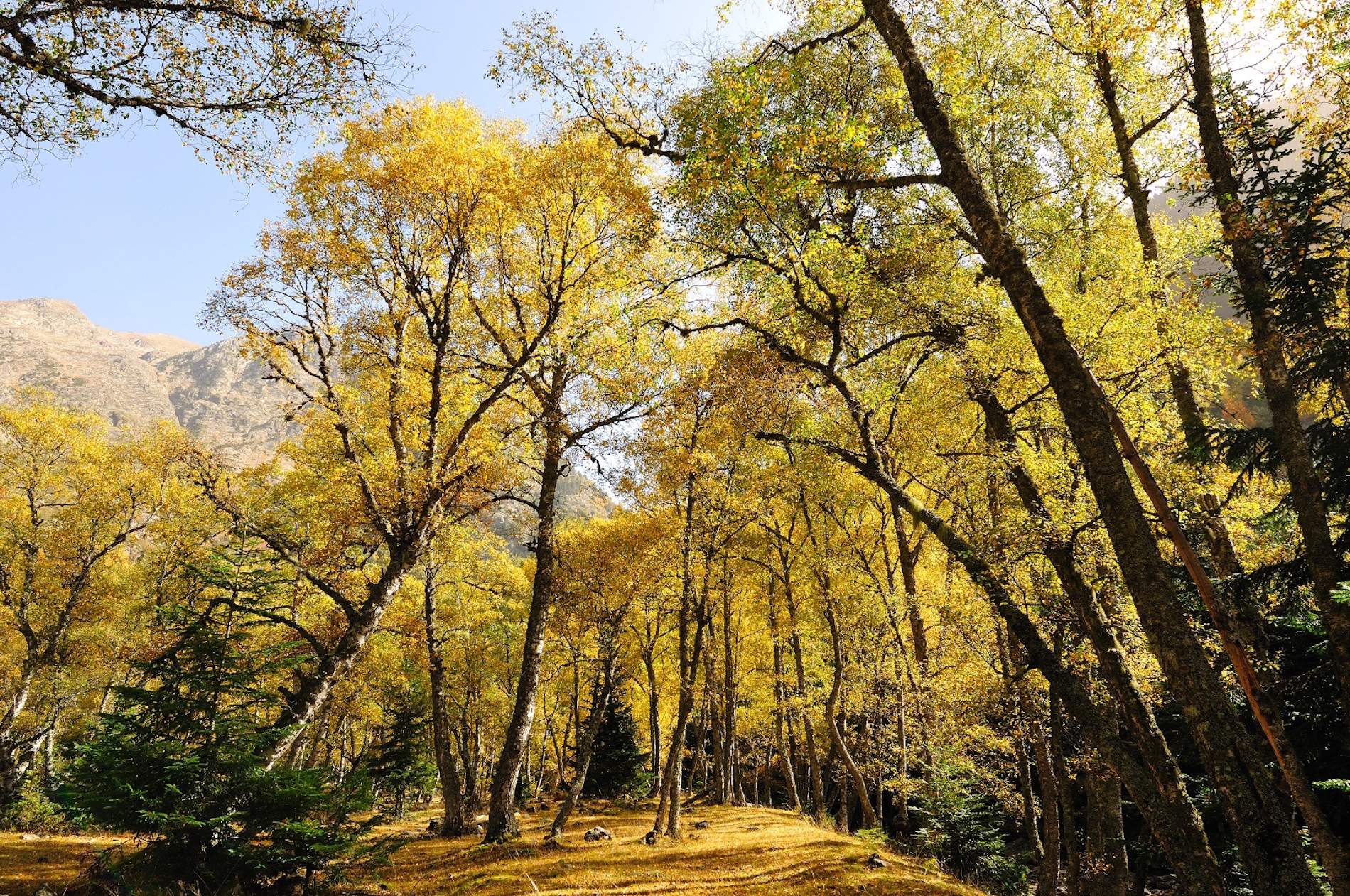 Injecció econòmica per a la bioeconomia de 269 milions d’euros