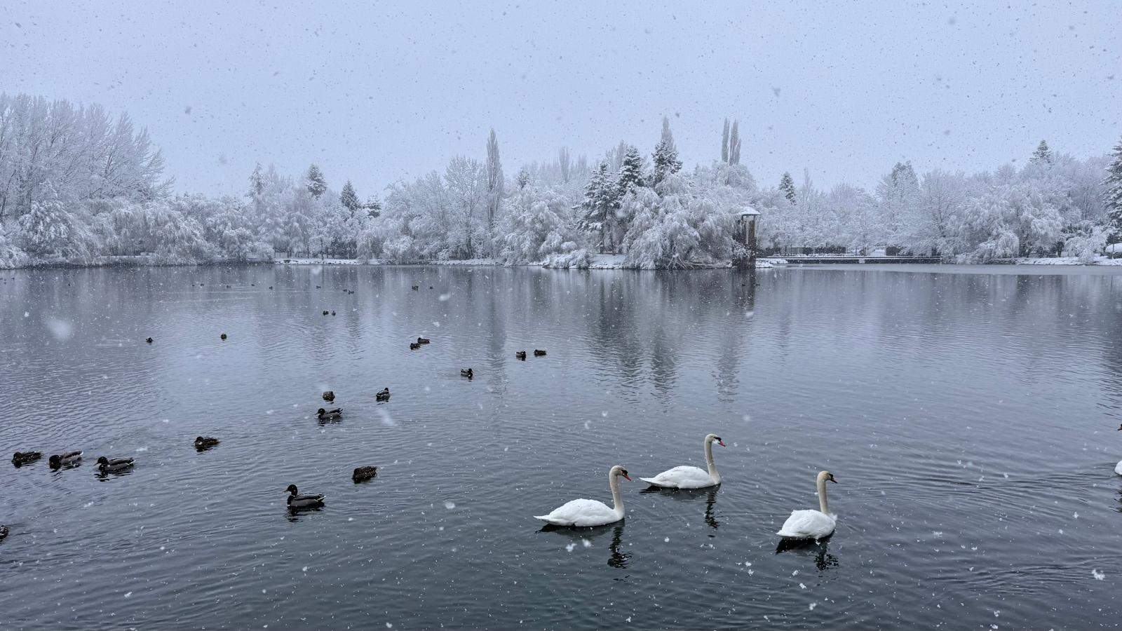 Tregua de lluvias con fecha de caducidad en Catalunya antes de una Navidad de paraguas con frío y nevadas