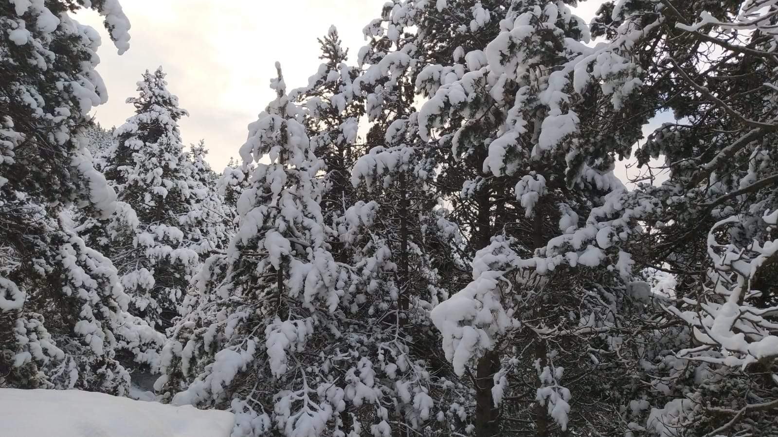 La Navidad más fría de los últimos años llega a Catalunya con nevadas fuera del Pirineo y aguaceros litorales
