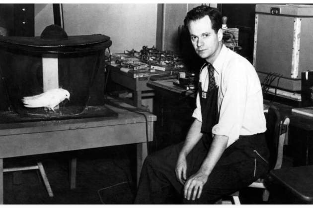 b f skinner b f skinner