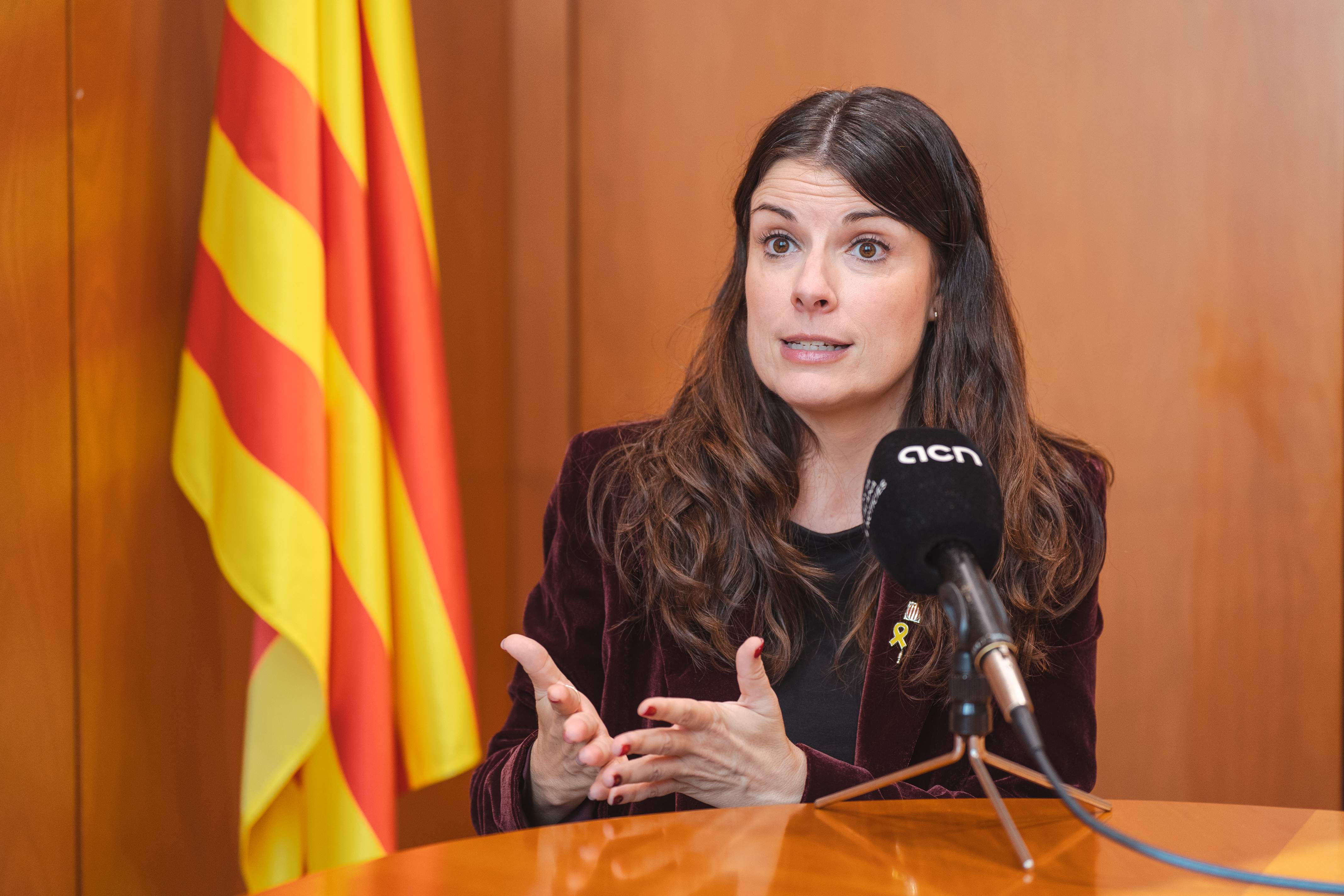 Junts qüestiona la defensa que fa el Govern del català: "Ha de ser model i moltes vegades no ha passat"