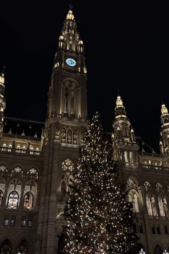   joangarcia 1766947773 3797755642963062777 1522319054 (1)