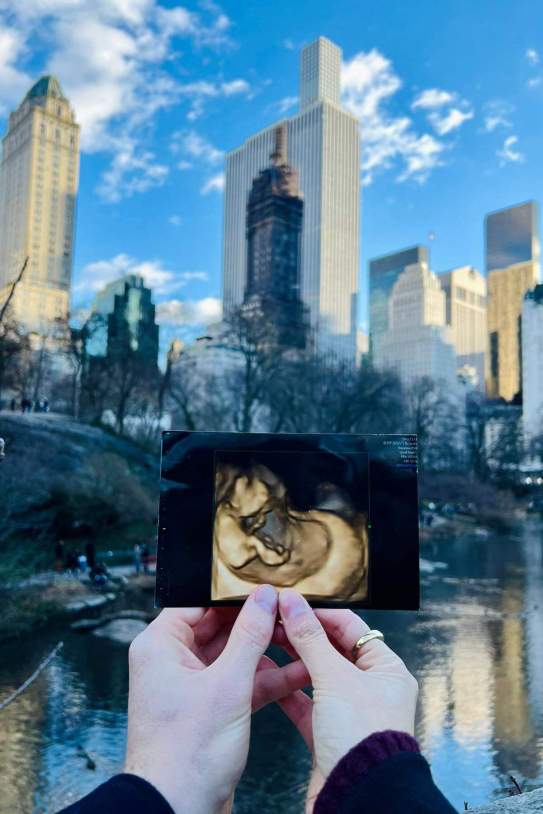 sergiogm 10 1766771702 3796278650644889632 1139050777 (1) sergiogm 10 1766771702 3796278650644889632 1139050777 (1)