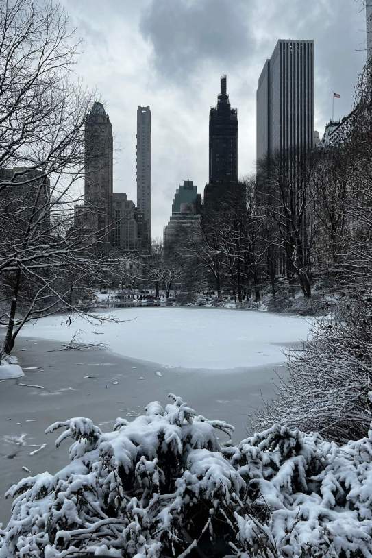 andreagropero 1766919539 3797518795053520257 371944663 andreagropero 1766919539 3797518795053520257 371944663