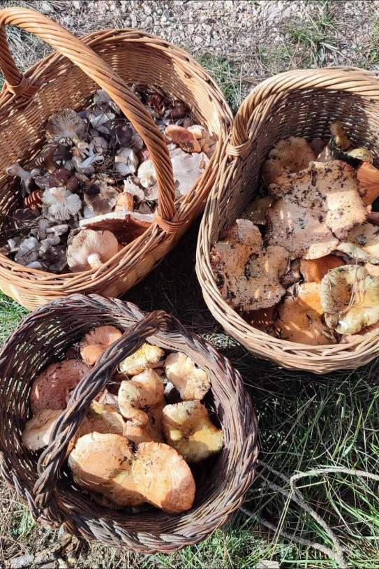 toni cruanyes 1762104692 3757128928415495817 927857882