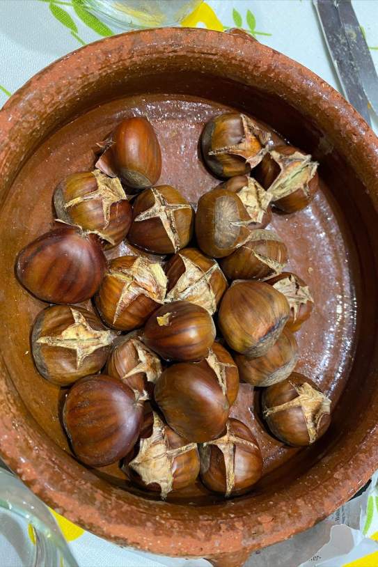 toni cruanyes 1762104692 3757128928407073499 927857882