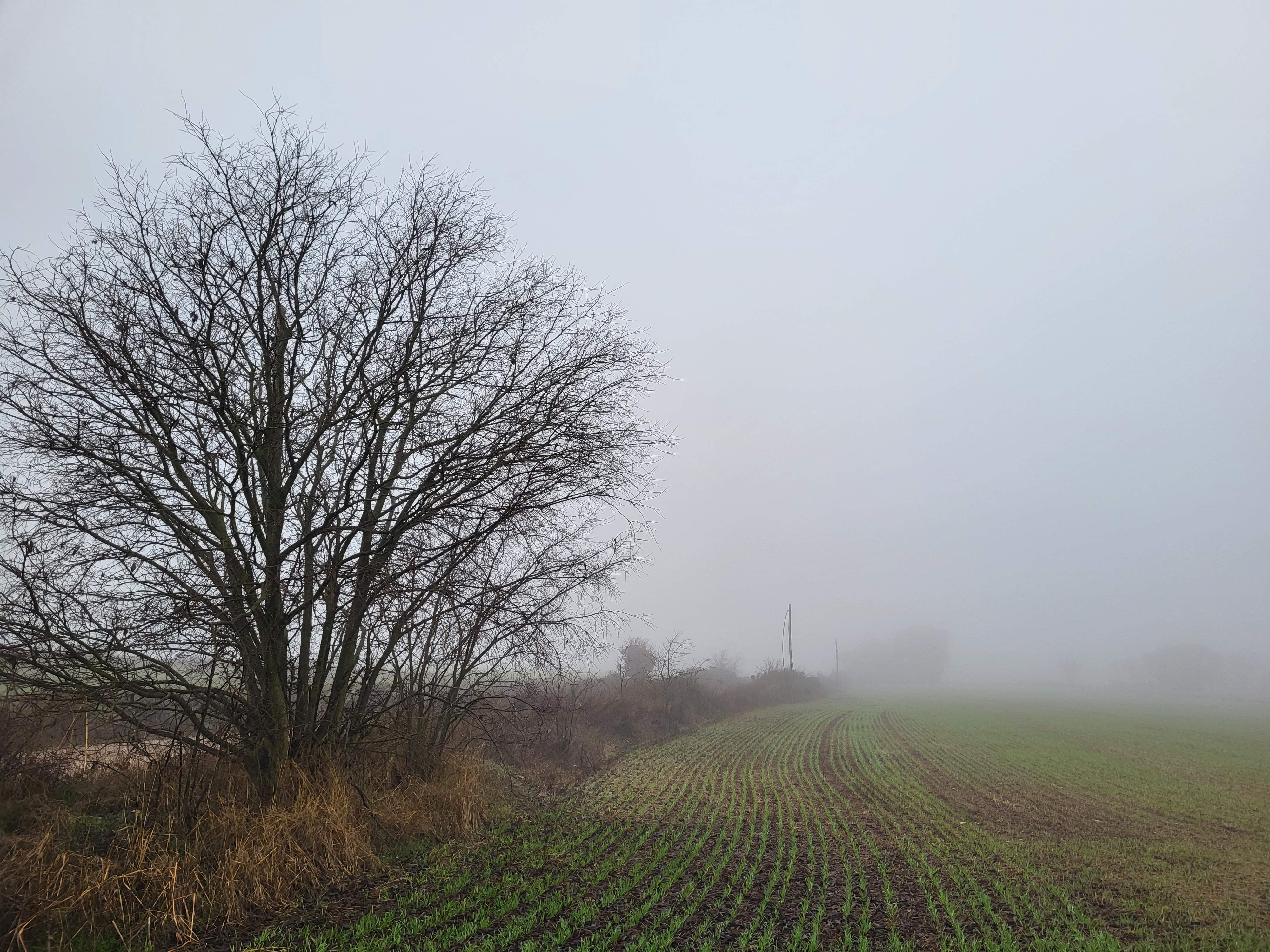 Las calmas invernales con sol y niebla se apoderan de Catalunya antes de un nuevo episodio de lluvia y frío