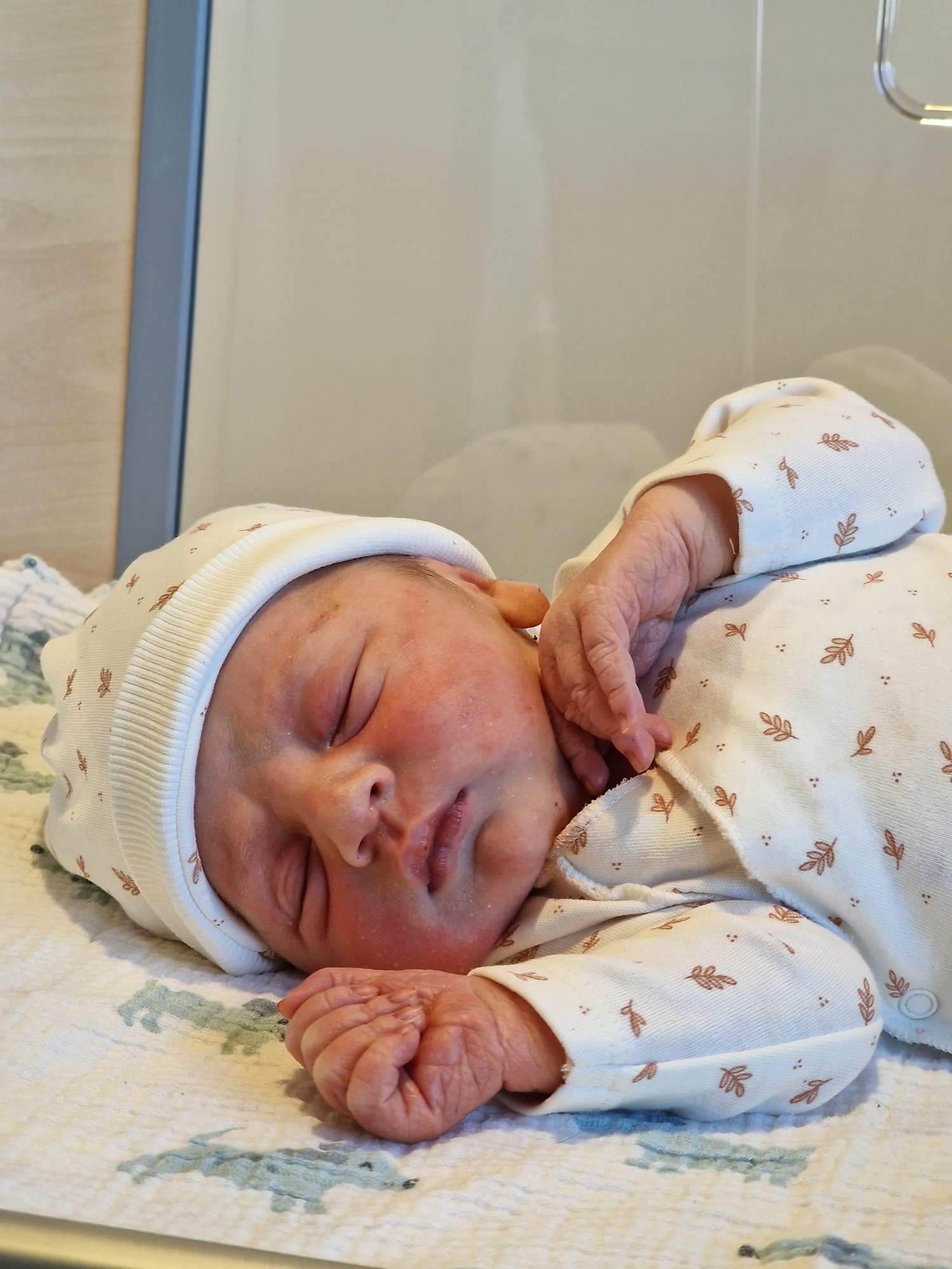 Ander Muñoz Adan Ander Muñoz Adan