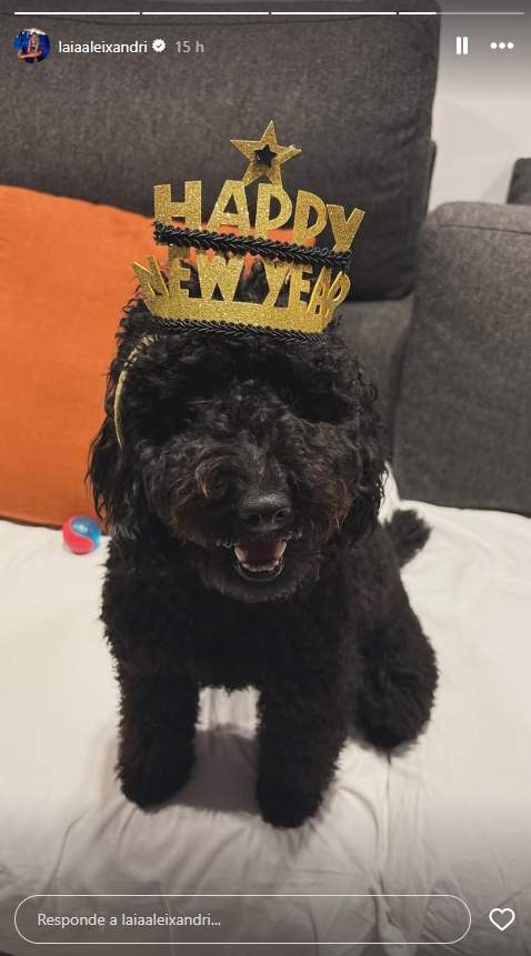 Los perritos de Laia Aleixandri, de celebración IG2