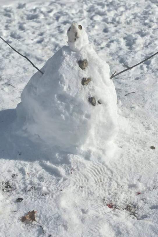 El muñeco de nieve que han hecho / Instagram El muñeco de nieve que han hecho / Instagram