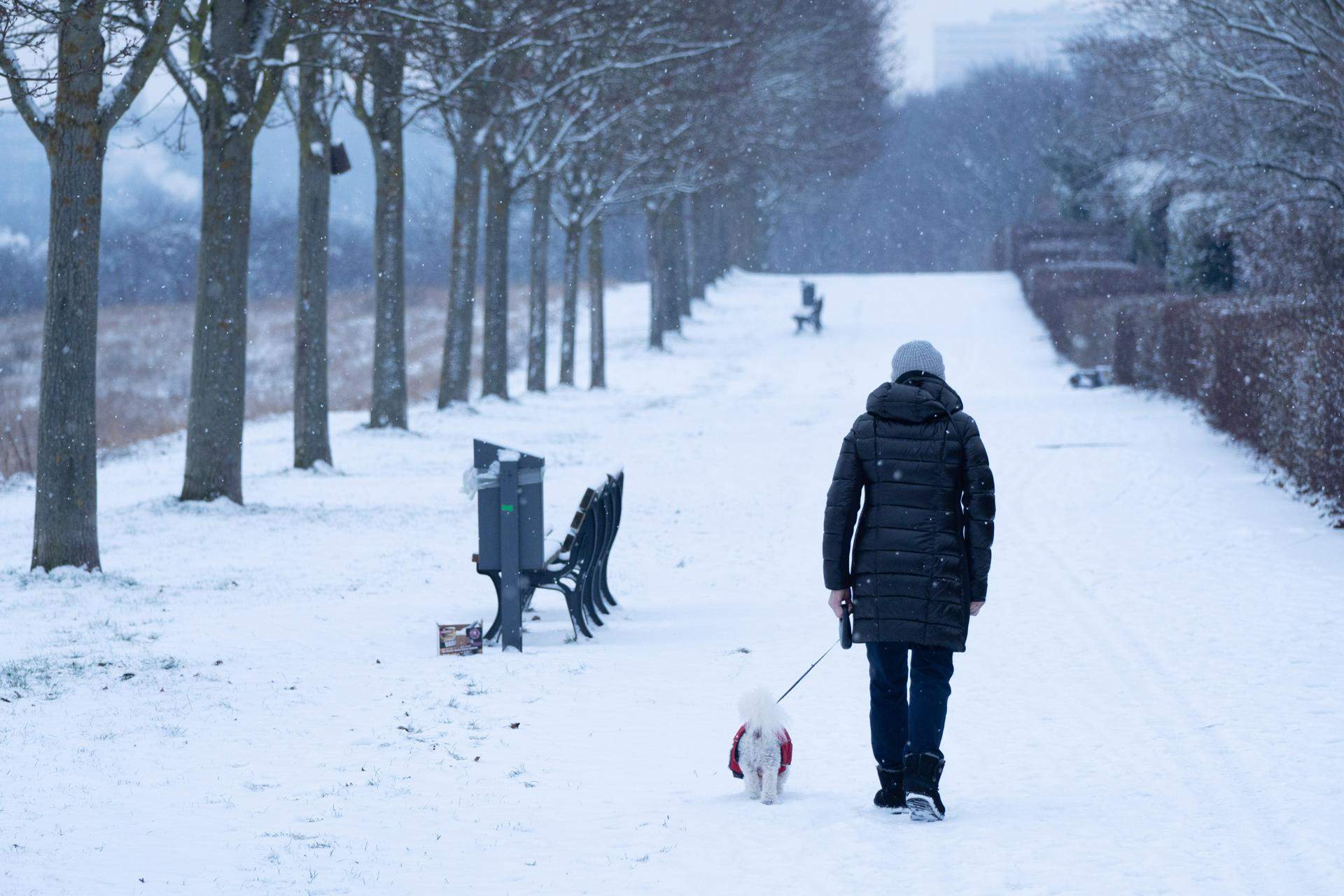 La nieve y el frío extremo colapsan Europa