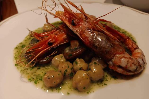 WhatsApp Image 2026 01 02 at 13.48.46 (1) WhatsApp Image 2026 01 02 at 13.48.46 (1)