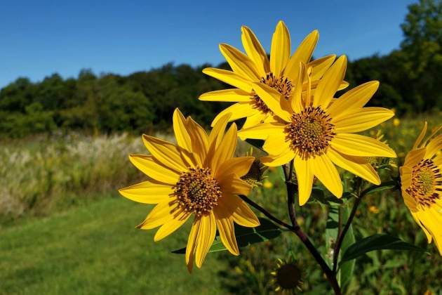 shane hoving uN0L5DlSPhI unsplash