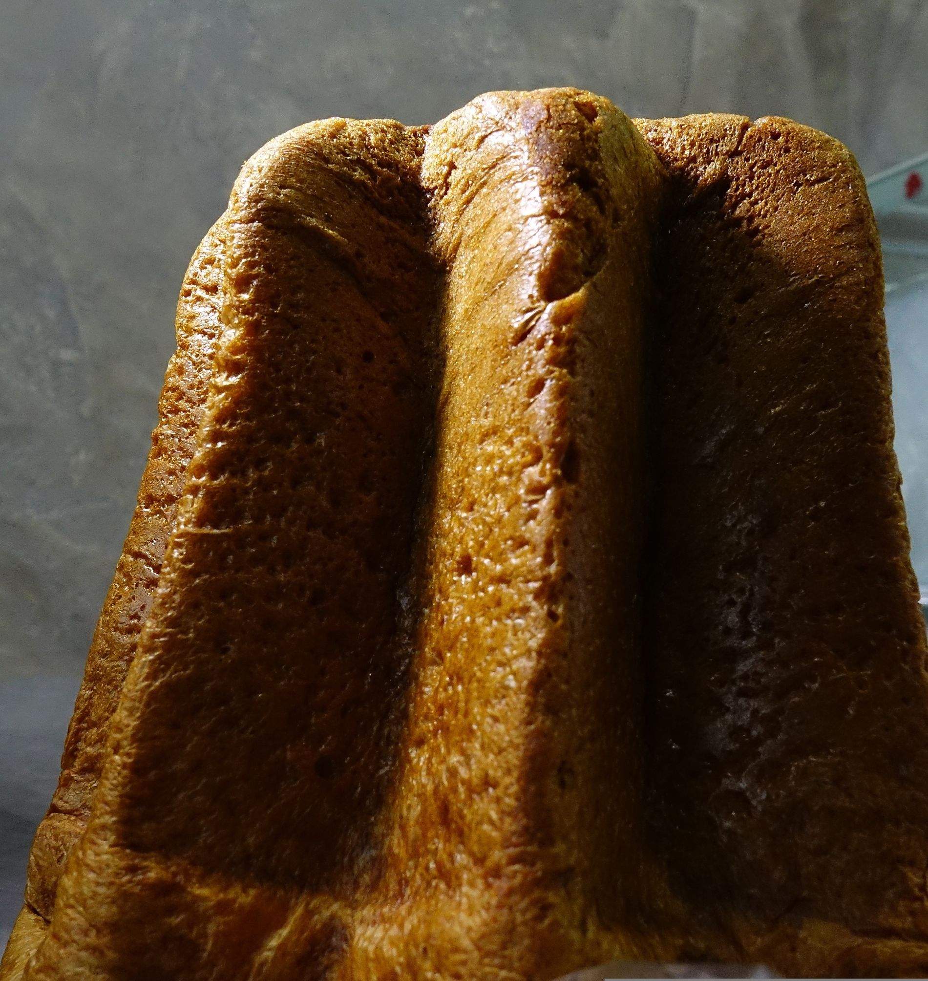 Alerta alimentària per la presència de restes del motlle de fabricació als pandoro Piaceri Mediterranei