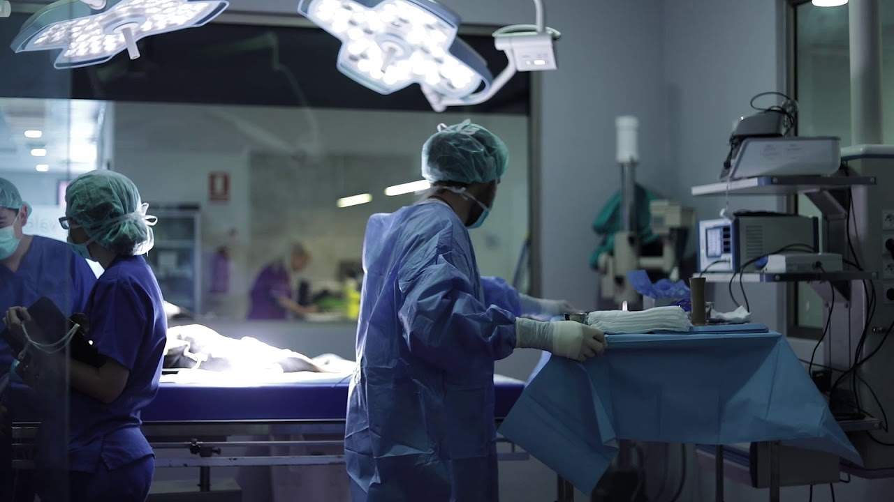 Jorge Linás Ceballos, veterinari: “Bollito ha estat rescatat després de tres anys vivint en una gàbia”