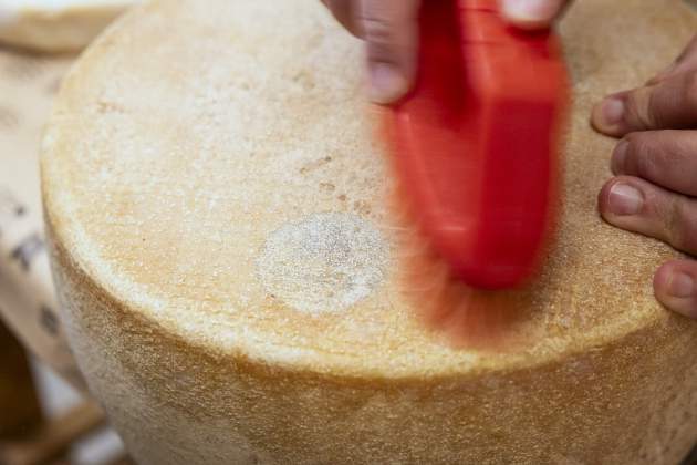 Leche Cruda Los quesos de pastor, los de granja y los de cooperativa / Foto: Carlos Baglietto Leche Cruda Los quesos de pastor, los de granja y los de cooperativa / Foto: Carlos Baglietto