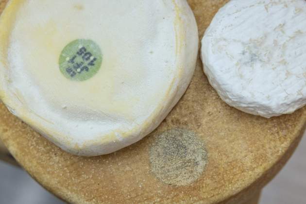 Leche Cruda Los quesos de pastor, los de granja y los de cooperativa / Foto: Carlos Baglietto Leche Cruda Los quesos de pastor, los de granja y los de cooperativa / Foto: Carlos Baglietto