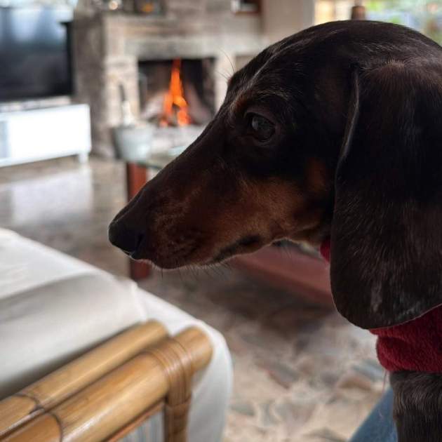 La mascota de Aitana Bonmatí / Instagram