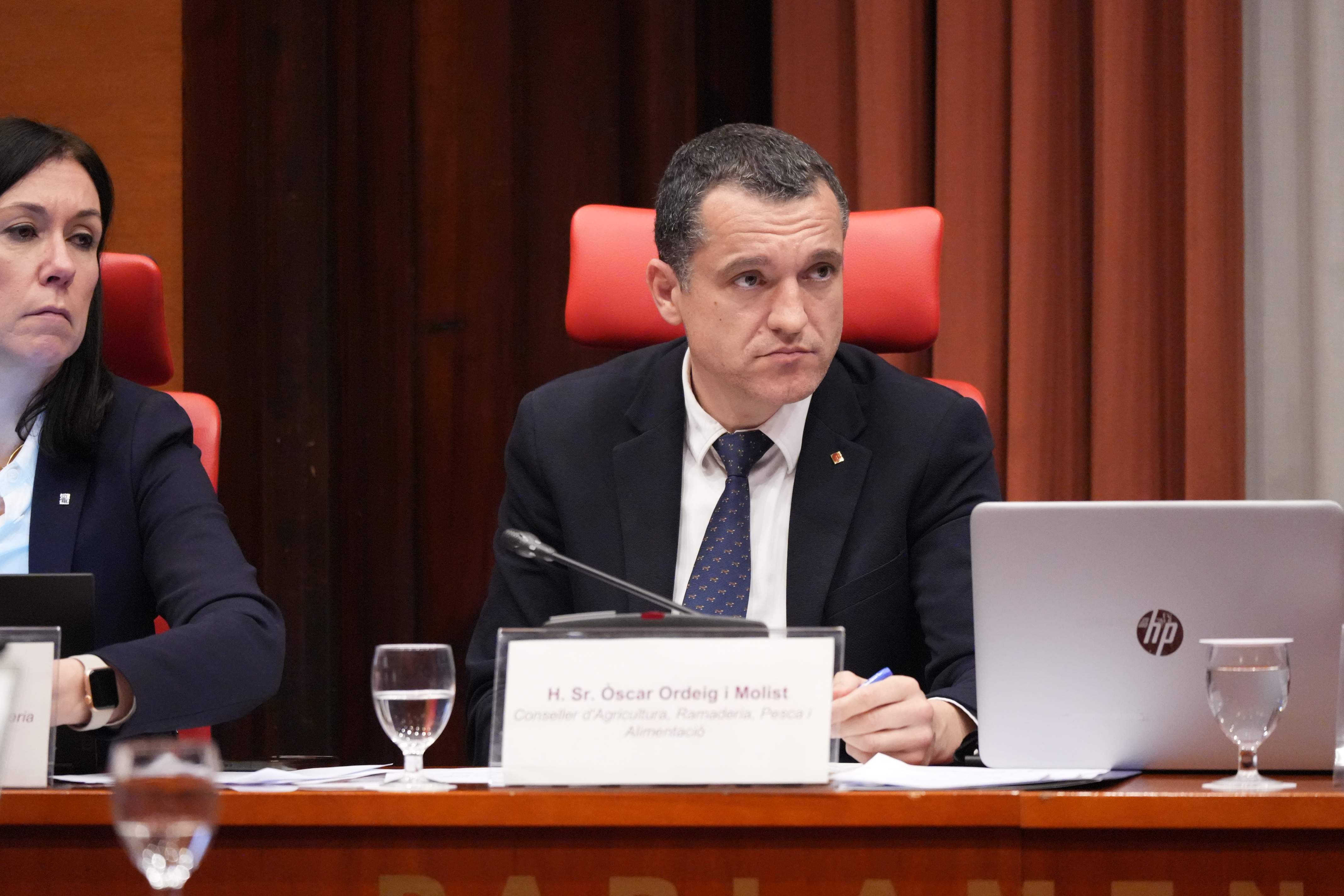 Ordeig avanza la flexibilización de las restricciones por peste porcina y que habrá más positivos