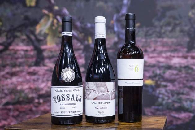 Laura Serrano vins què són les vinyes centenàries / FOTO: CARLOS BAGLIETTO