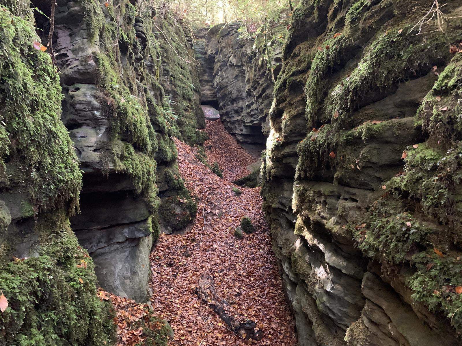 Esta es la ruta senderista perfecta para hacer en Catalunya hoy