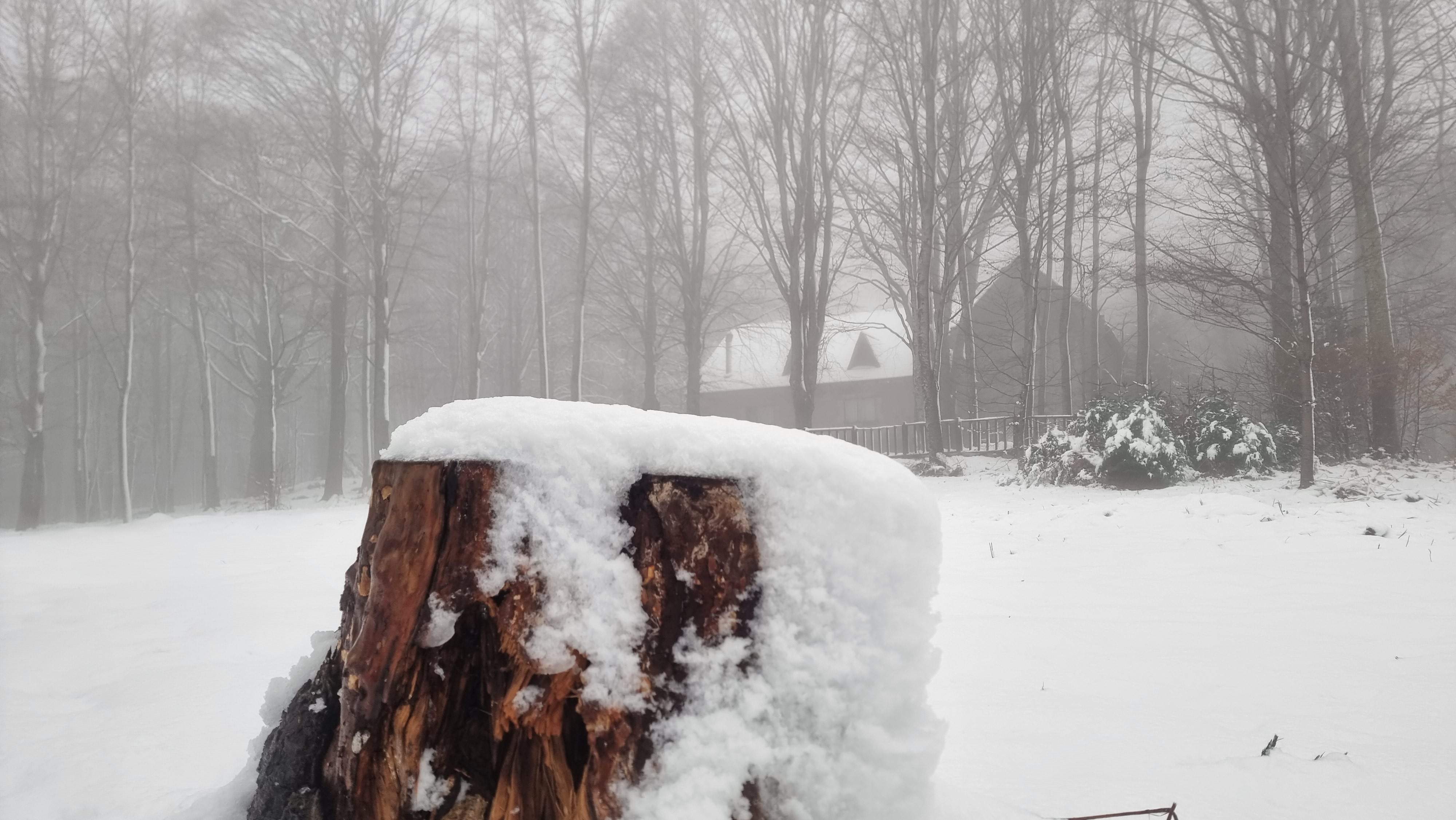 La borrasca Ingrid llegará a Catalunya con nieve en cotas bajas: ¿dónde y cuándo nevará?
