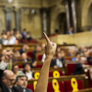 Ple Parlament perdua majoria diputats suspesos votacions - Sergi Alcàzar
