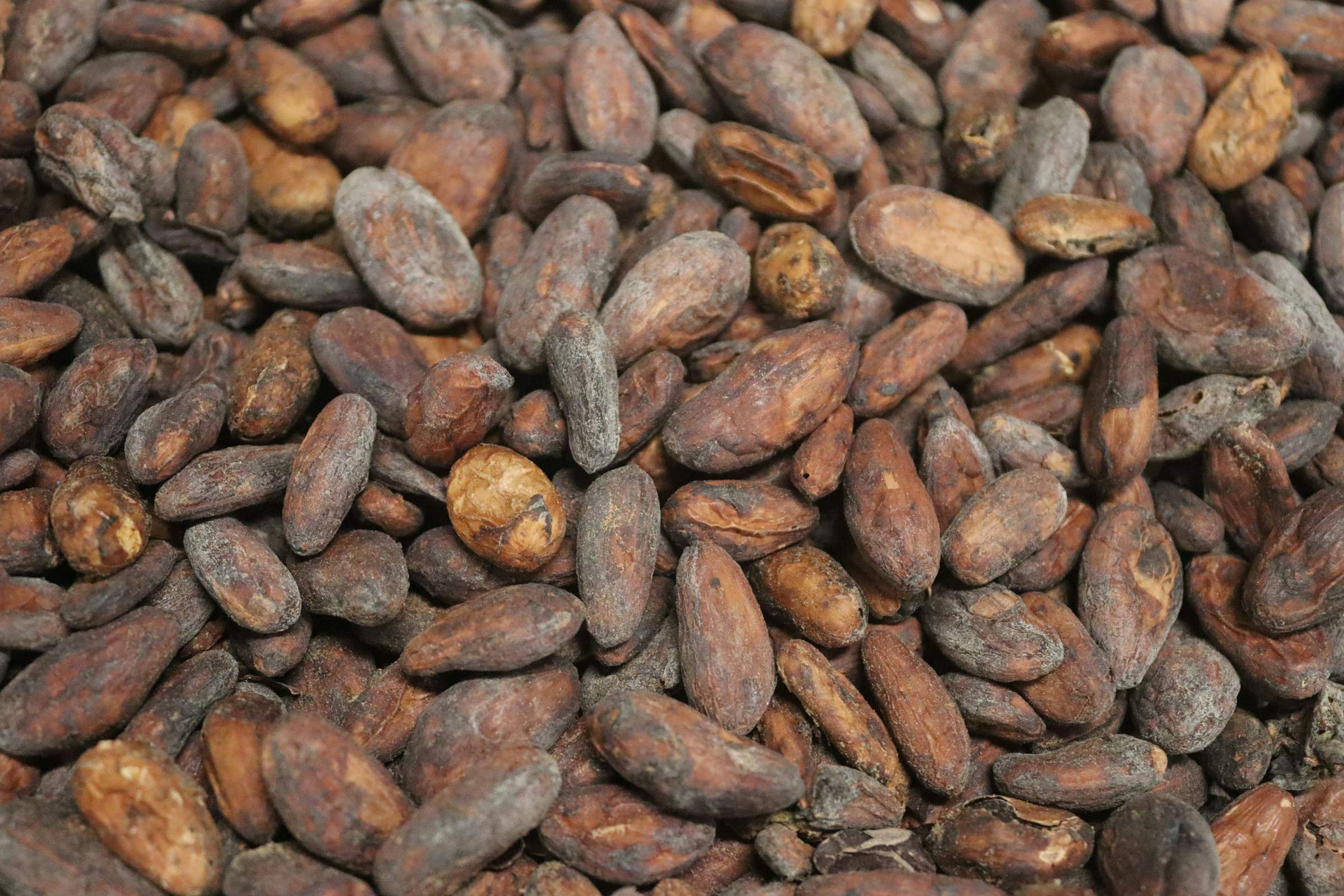 El error que muchos cometen al cuidar su cabello, según la experta Dunia Mulet