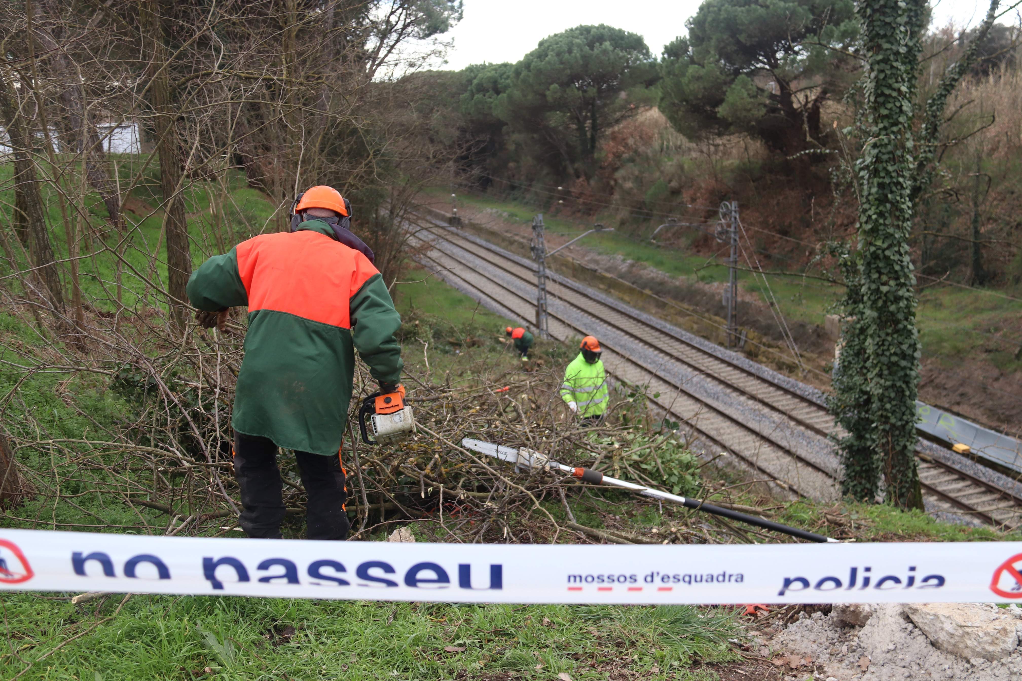 Retiran árboles junto a la vía del tren en Caldes de Malavella / Foto. ACN