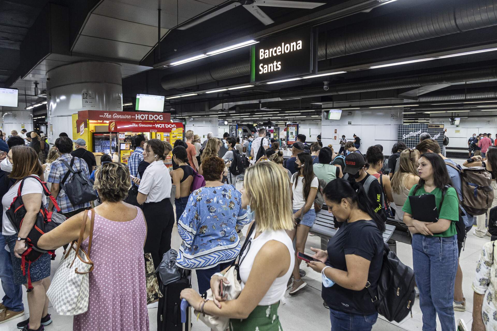 Les plataformes d'usuaris de tren criden a manifestar-se el 7 de febrer