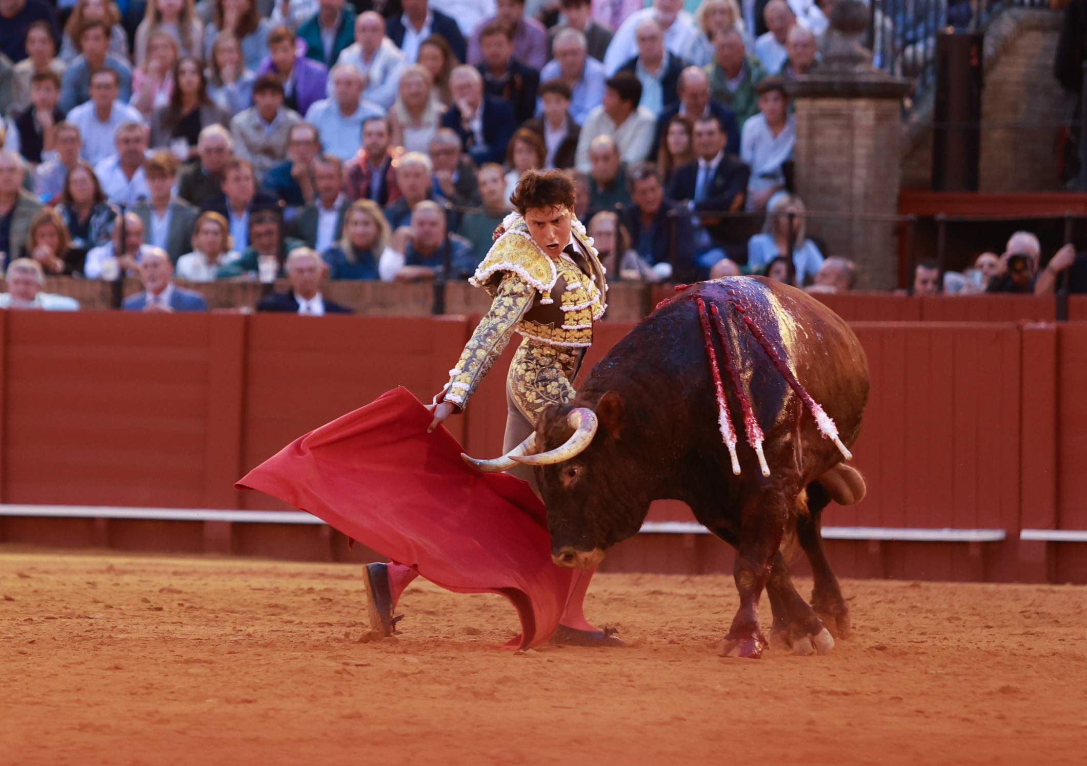 Los menores no podrán entrar a los toros: el texto para reformar la ley