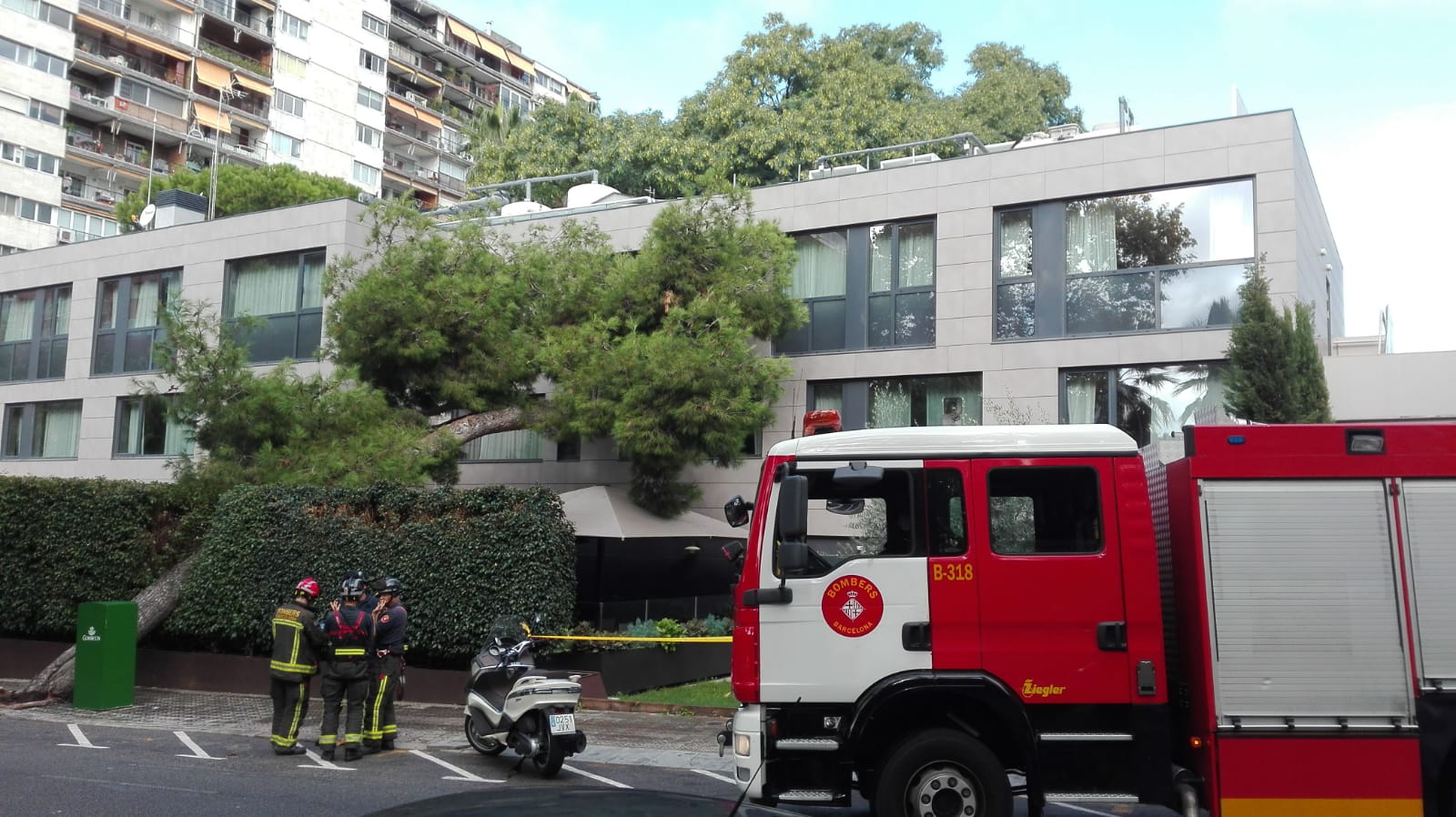 Cae un pino sobre el hotel Upper de Barcelona