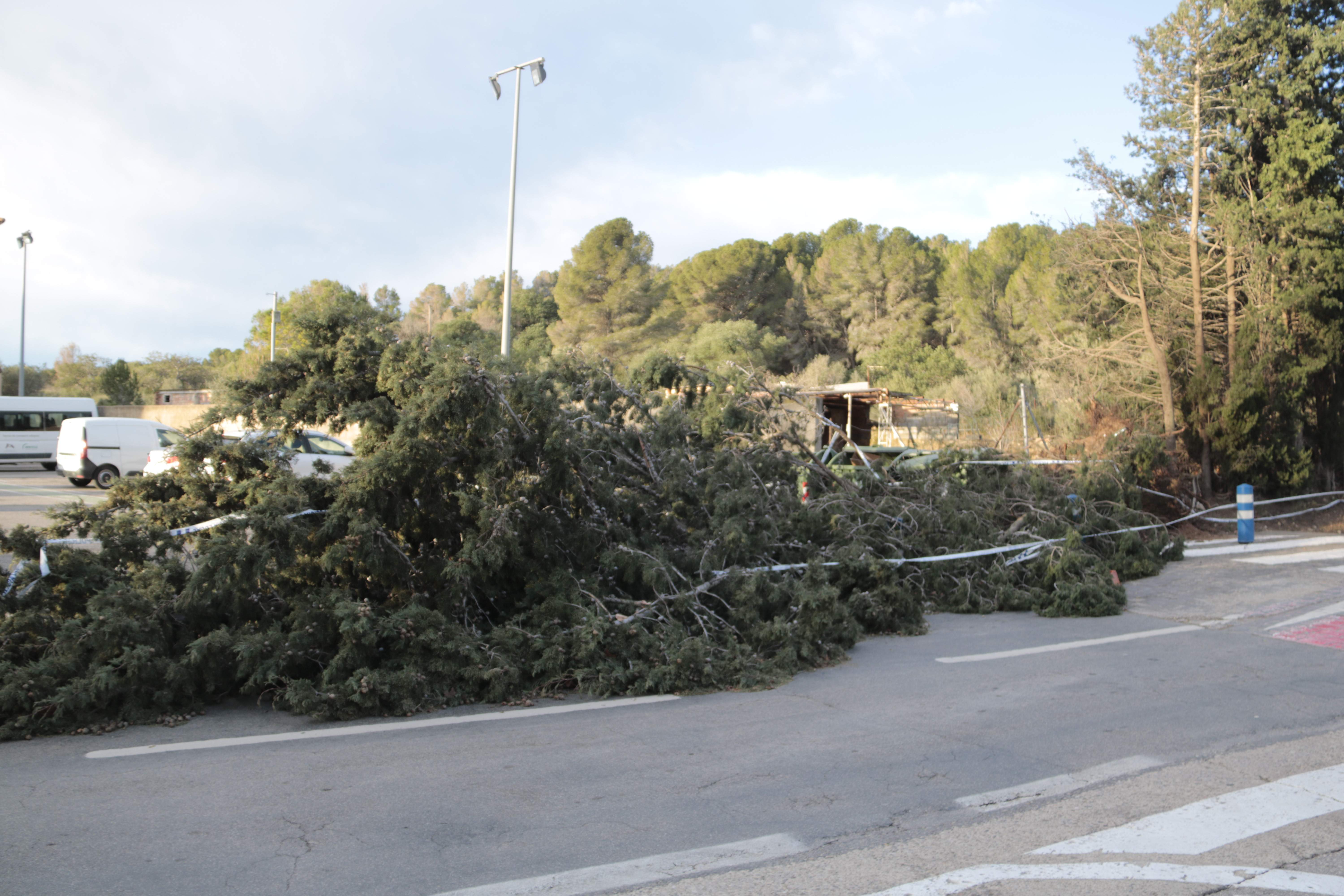 El temporal de mestral sacude el sur del país con rachas de viento de hasta 140 km/h