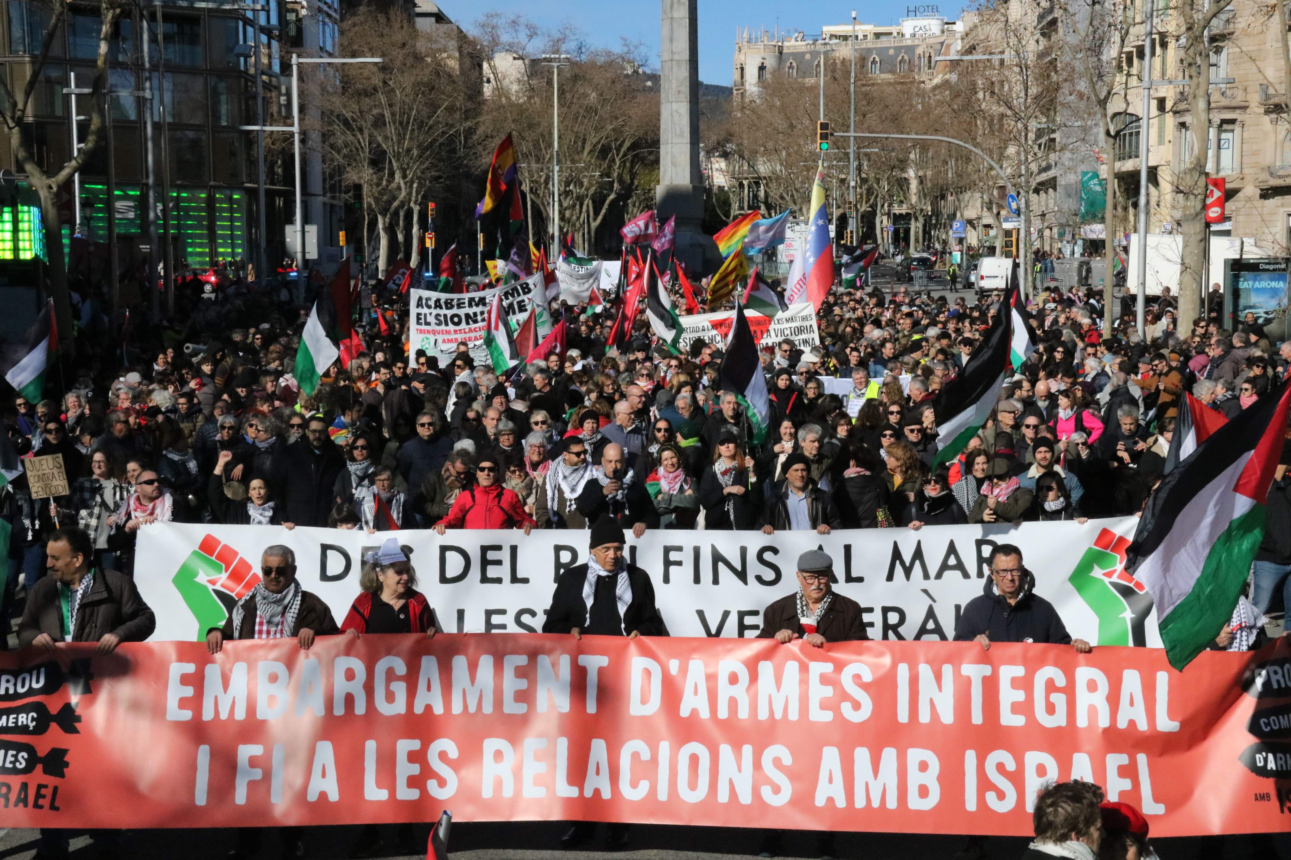 Manifestación pro palestina en Barcelona (ACN)