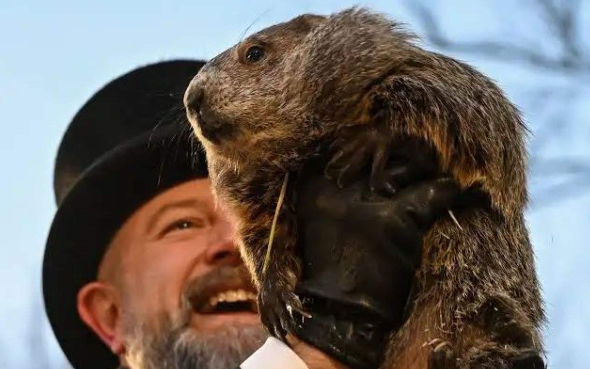 Dia de la Marmota 2026: aquest ha estat el pronòstic d'en Phil sobre l'hivern