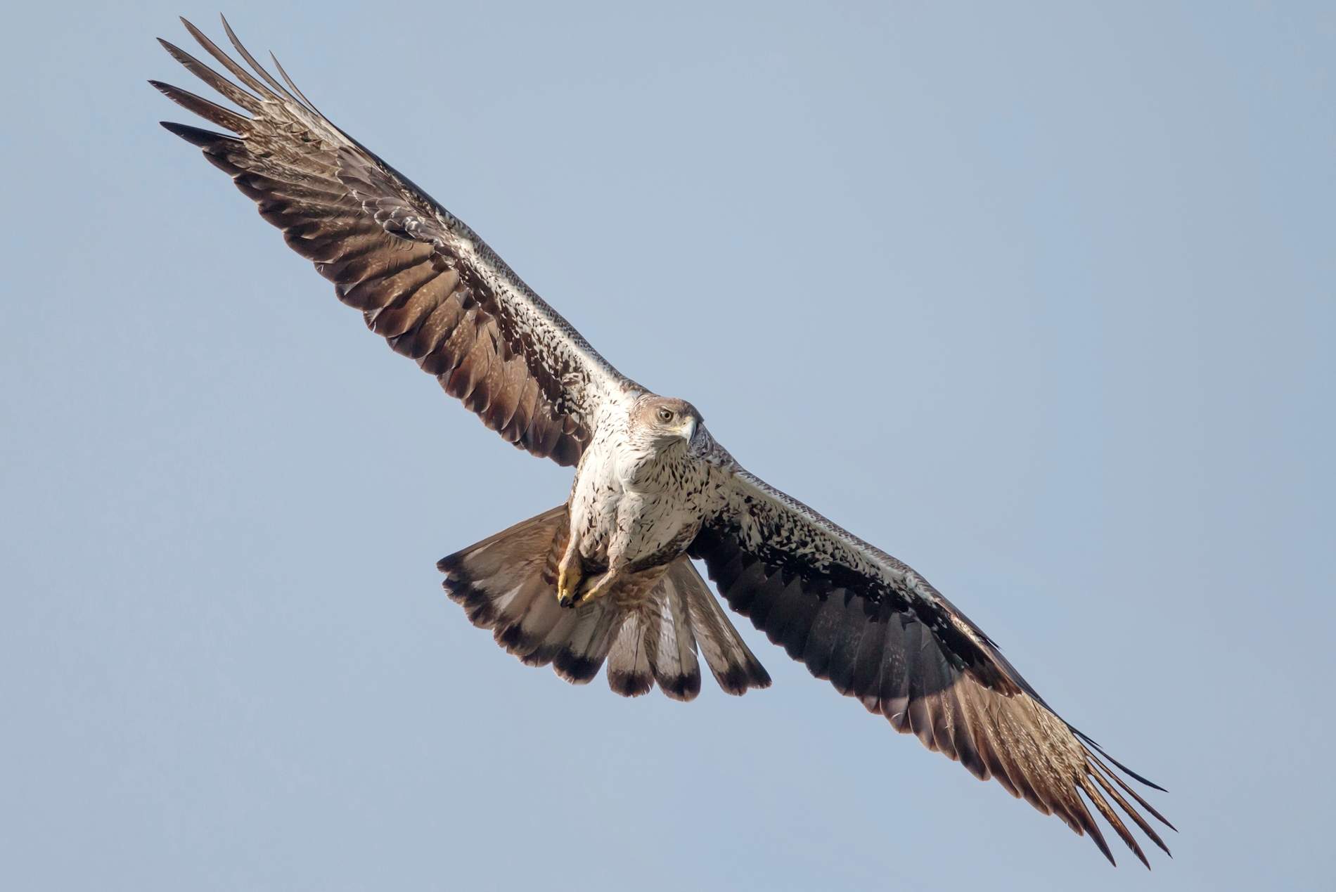 b065bbe1 4173 49ba 8fe3 a6e49813eef2