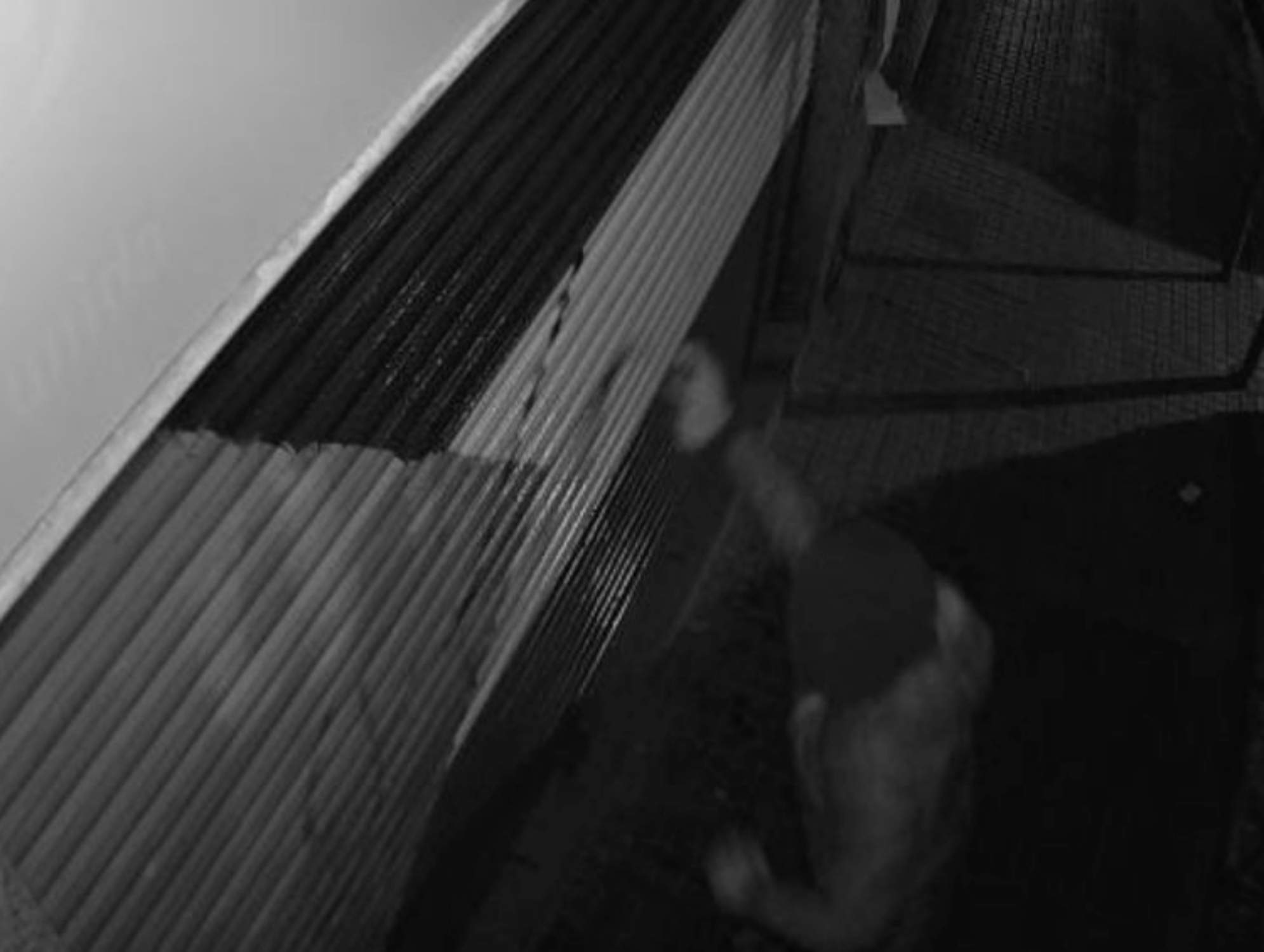 Detenidos cuatro nazis de Núcleo Nacional por pintadas en mezquitas, tiendas y la sede del PSC en Sant Boi