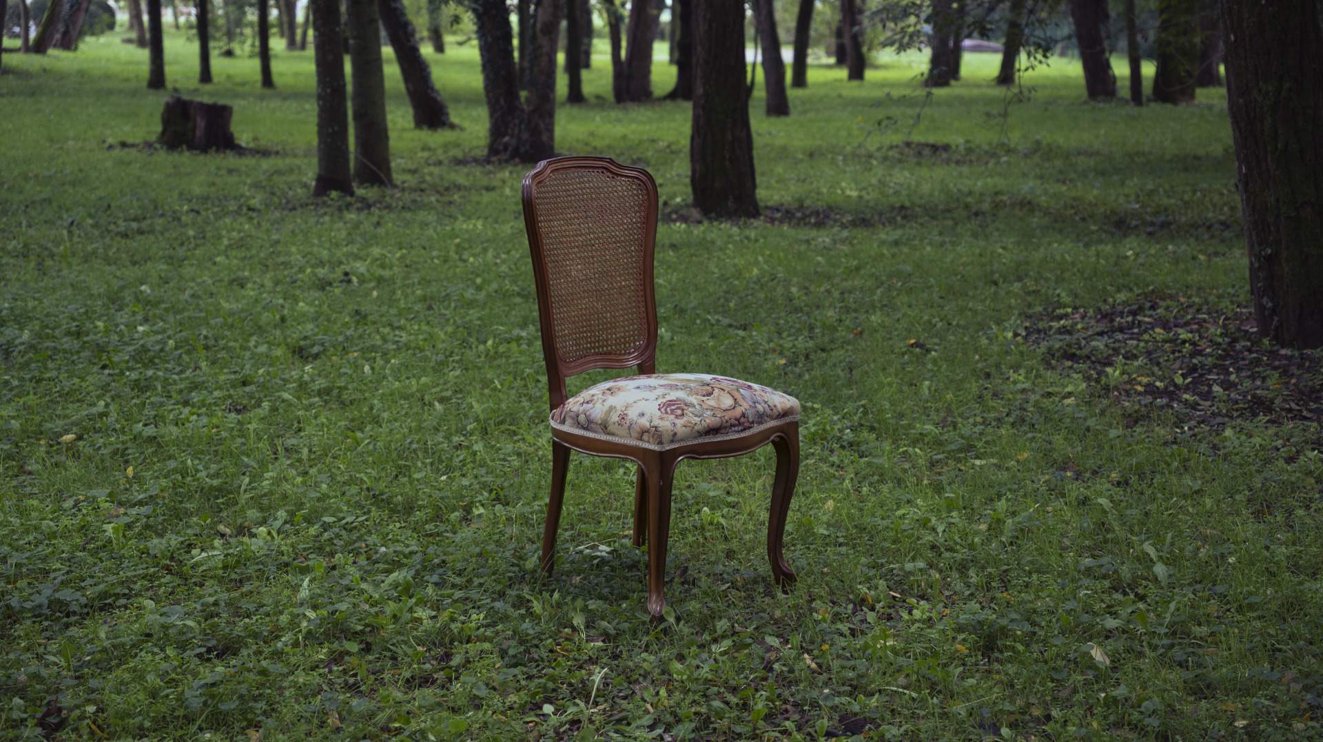 Del pentagrama a la interpretació. Concert de música de cambra, Amb el Quartet Vivancos i el Trio Defilló