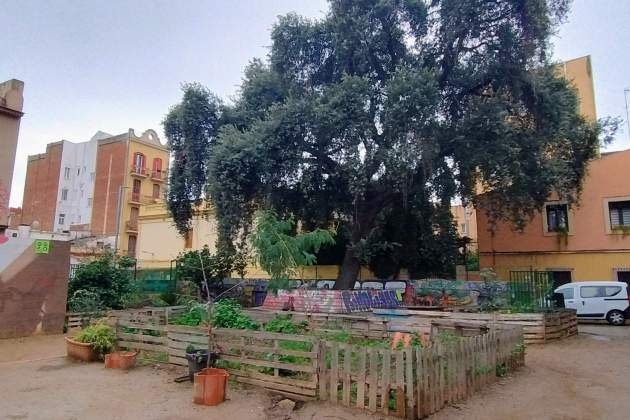 casetes encarnacio jordi palmer (2)